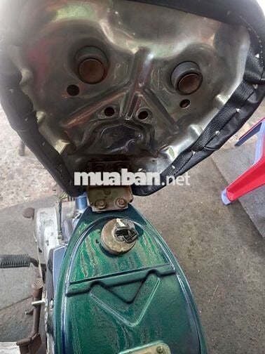 Cup nhật 70cc