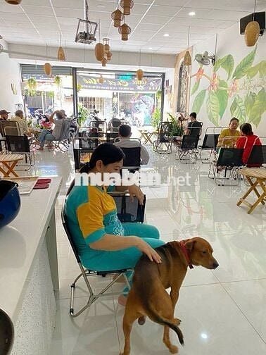 Cho thuê mặt bằng đường 78 Nguyễn Văn Khối, P11, Gò Vấp_DT: 6,2m x 20m