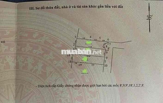 NHÀ ĐẸP DÂN XÂY - 20M RA PHỐ - KINH DOANH - 5 TẦNG 4 NGỦ