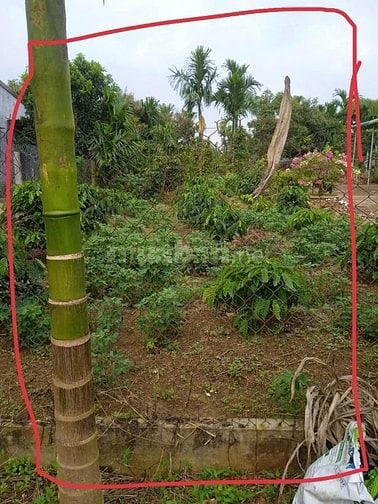 bán đất 2 mặt tiền truóc sau -hem xe hoi -400m2