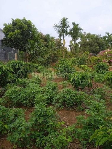 bán đất 2 mặt tiền truóc sau -hem xe hoi -400m2
