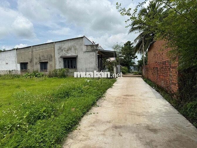 Thổ Cư Sổ riêng View Núi Chứa Chan Xuân Lộc Đồng Nai