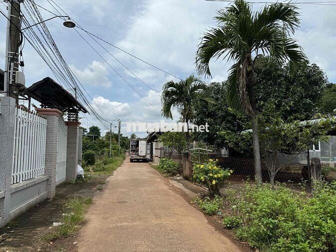 Bán 160m2 thổ cư sổ riêng sau lưng trường học, Xuân Phú, Đồng Nai