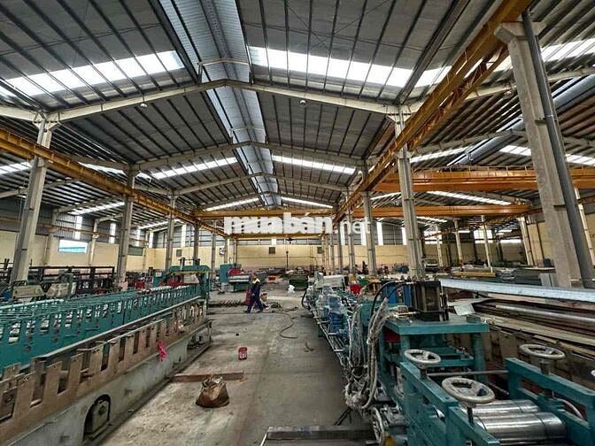 Cho thuê kho xưởng mặt tiền quốc lộ 1A, có cẩu trục, hàng hiếm, đẹp.