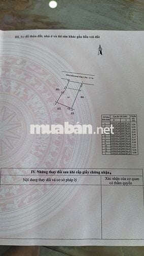 Tổ ấm vững chắc giữa lòng thành phố – nhà 3 tầng kiên cố đường Hải Đức