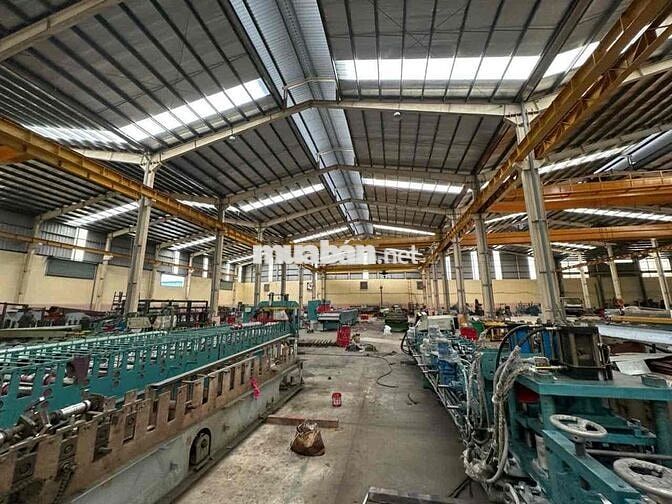 Cho thuê kho xưởng mặt tiền quốc lộ 1A, có cẩu trục, hàng hiếm, đẹp.