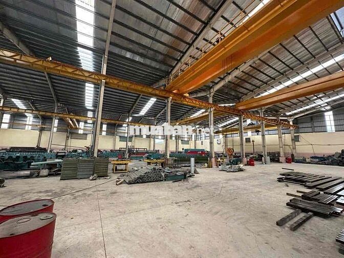 Cho thuê kho xưởng mặt tiền quốc lộ 1A, có cẩu trục, hàng hiếm, đẹp.