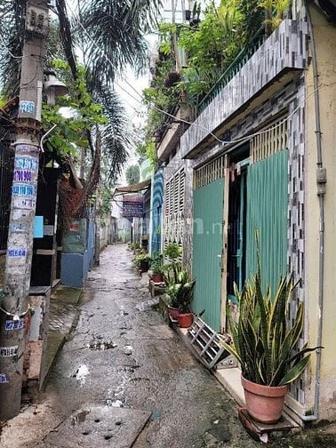 Nhà rẻ nhất khu vực đường Quang trung, p14, gò vấp