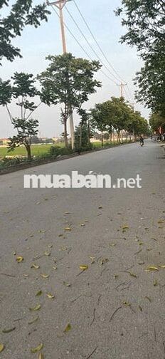 BÁN ĐẤT ĐÔNG MỸ - THANH TRÌ - VỊ TRÍ ĐẸP - Ô TÔ TRÁNH