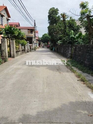BÁN ĐẤT ĐÔNG MỸ - THANH TRÌ - VỊ TRÍ ĐẸP - Ô TÔ TRÁNH
