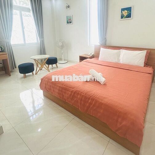 CHDV Đường Xe Hơi Hai Bà Trưng –  Đà Lạt, Đầu Tư Sinh Lời Giá 14.5 Tỷ