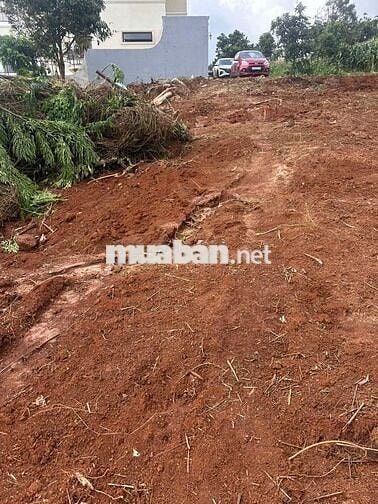 🌾 BÁN LÔ ĐẤT 6000m2 CÓ THỔ CƯ TẠI ĐẠT LÝ – HÒA THUẬN, BMT 🌾
