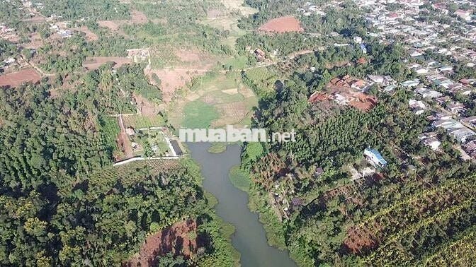 🌾 BÁN LÔ ĐẤT 6000m2 CÓ THỔ CƯ TẠI ĐẠT LÝ – HÒA THUẬN, BMT 🌾