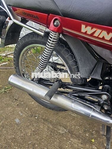 WIN 100 INDONESIA