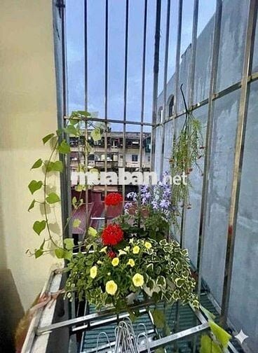 Bán CCMN To Đẹp Chuẩn nhu CCTM, Có Hầm Ô Tô - Thanh Xuân, Hoàng Đạo Th