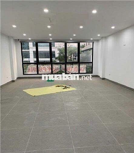TOÀ NHÀ 5 LẦU CÓ THANG MÁY SÁT BÊN CHỢ TÂN ĐỊNH Q3 GIÁ 46 TRIỆU