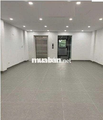 TOÀ NHÀ 5 LẦU CÓ THANG MÁY SÁT BÊN CHỢ TÂN ĐỊNH Q3 GIÁ 46 TRIỆU