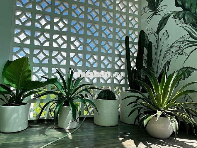 CHÍNH CHỦ BÁN NHÀ 3 LẦU NVL P6