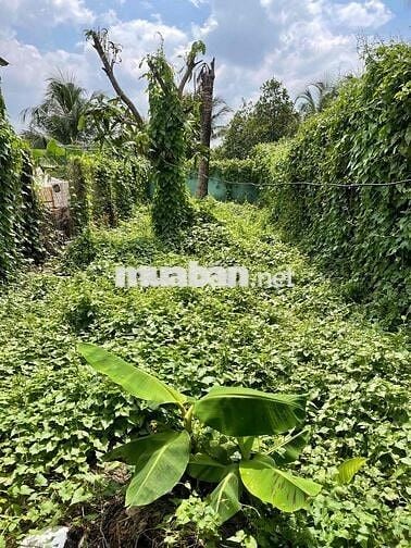 NHÀ MẶT TIỀN HẺM SUSU 234m2 FULL THỔ CƯ