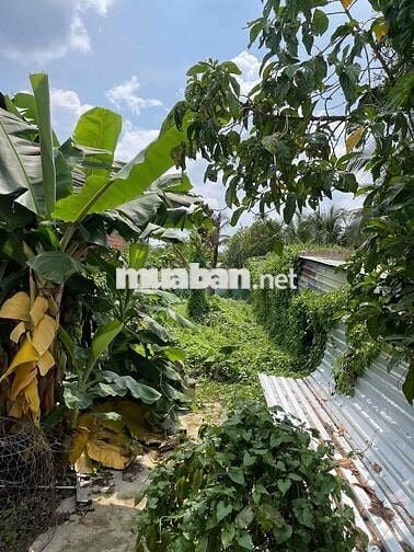 NHÀ MẶT TIỀN HẺM SUSU 234m2 FULL THỔ CƯ