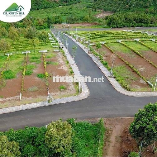 CẦN BÁN ĐẤT CÓ SỔ THỔ CƯ DI LINH CÁCH QLO20 CHỈ 2KM GIÁ CHỈ 835tr