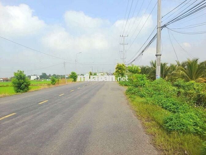 Hàng Vip, 1000m2 đất thổ xây trọ ngay KCN An Nhựt Tân chỉ 2.3 tỷ