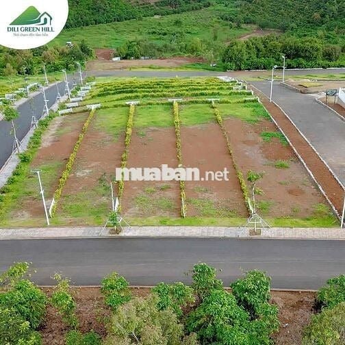CẦN BÁN ĐẤT CÓ SỔ THỔ CƯ DI LINH CÁCH QLO20 CHỈ 2KM GIÁ CHỈ 835tr