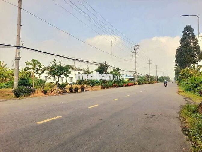 Hàng Vip, 1000m2 đất thổ xây trọ ngay KCN An Nhựt Tân chỉ 2.3 tỷ