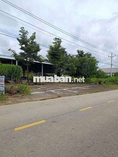 bán đất hai mặt tient quốc lộ 55 thôn Tân quang xã sông phan hàm Tân