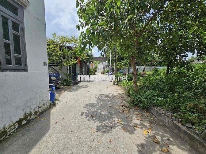 Đất 100m2 gần khu Biconsi, phường Tân bình, tp Dĩ An