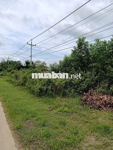 bán đất hai mặt tient quốc lộ 55 thôn Tân quang xã sông phan hàm Tân