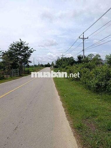 bán đất hai mặt tient quốc lộ 55 thôn Tân quang xã sông phan hàm Tân