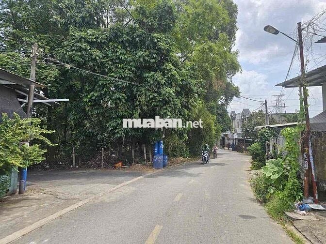 Đất 100m2 gần khu Biconsi, phường Tân bình, tp Dĩ An