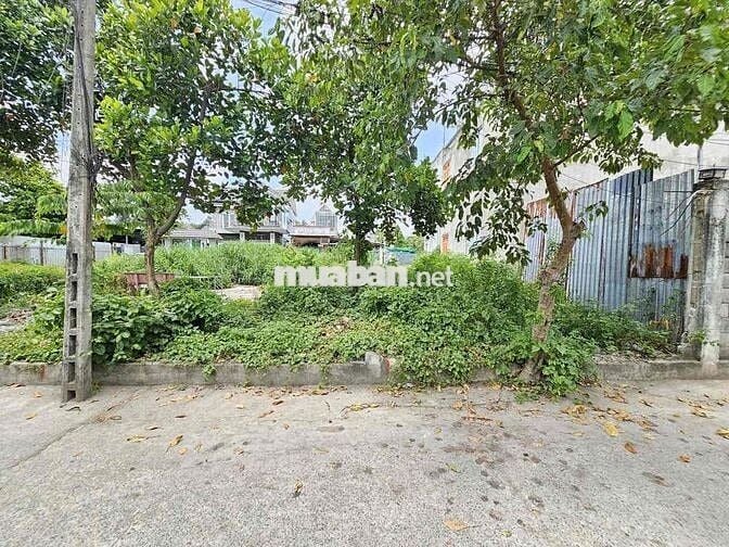 Đất 100m2 gần khu Biconsi, phường Tân bình, tp Dĩ An