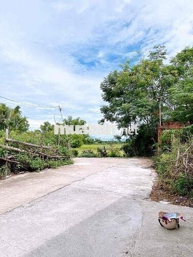 Đất kiệt Hoà Quý giá rẻ cho A/c xây nhà
