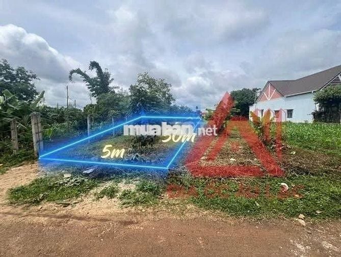 BÁN ĐẤT ĐƯỜNG NGUYỄN XUÂN NGUYÊN, P. TÂN AN, TP. BUÔN MA THUỘT