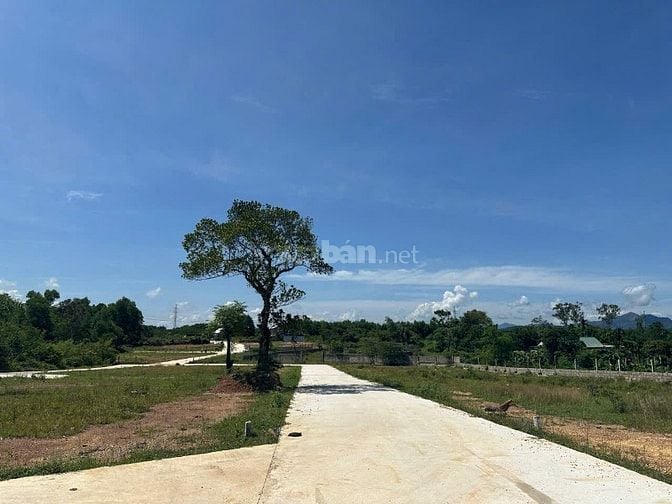 Đất Tiềm Năng Giá Rẻ ( Dạ Lê )