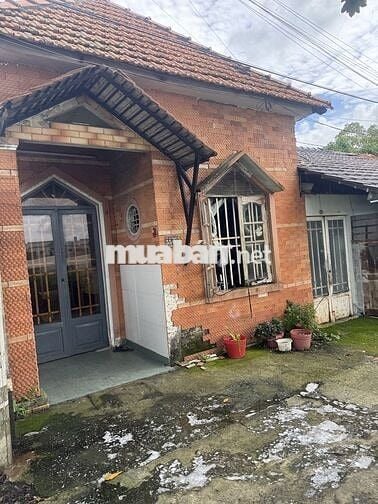 CĂN GÓC NHÀ MT TÂN HIỆP, 14M x 7M ~98M², 2 CĂN RIÊNG BIỆT,Tân Hiệp,HM