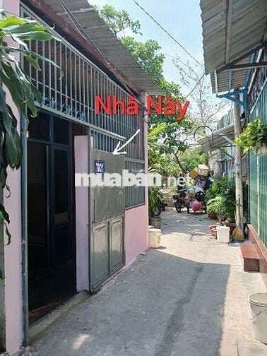 Nhà Cho Thuê Chính Chủ 1Trệt + 1Lững 68m2 Đ.25A P.Tân Quy. Q.7
