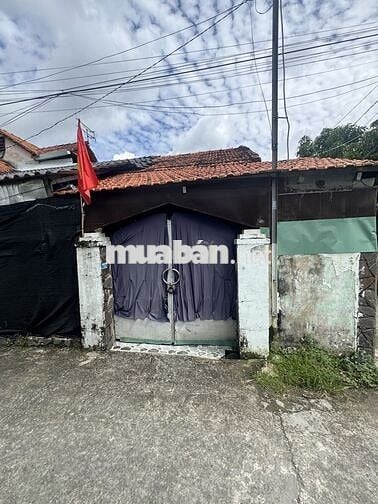 CĂN GÓC NHÀ MT TÂN HIỆP, 14M x 7M ~98M², 2 CĂN RIÊNG BIỆT,Tân Hiệp,HM