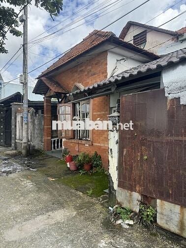 CĂN GÓC NHÀ MT TÂN HIỆP, 14M x 7M ~98M², 2 CĂN RIÊNG BIỆT,Tân Hiệp,HM