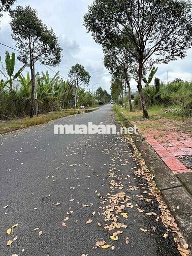 Chính chủ đứng tên giấy bán đất nền Tp Vị Thanh full thổ cư