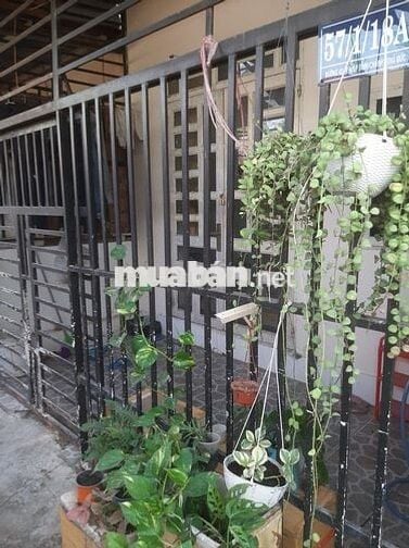 Nhà nguyên căn, 3 Phòng ngủ - Đường 42, P Hiệp Bình