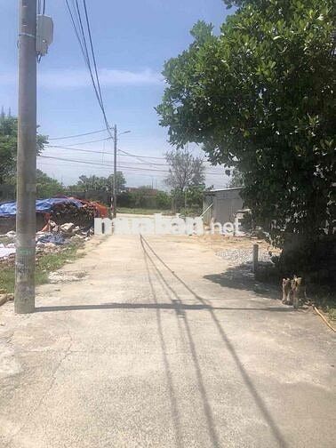 Chào Bán Đất Khái Tây 1 - Đường 5 m - Sât làng đại Học