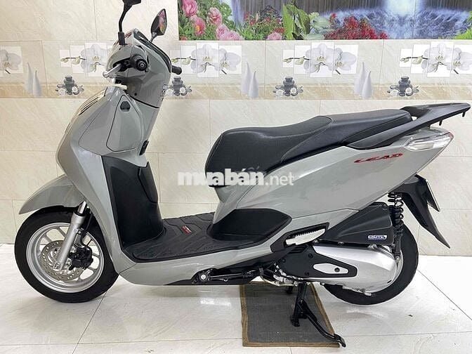 lead 4val xám xi măng 2024