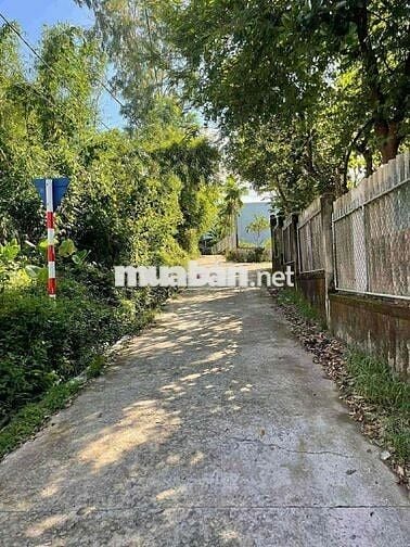 Đất lớn 920m2 phù hợp làm nhà vườn, kho xưởng, hay kinh doanh khu vui