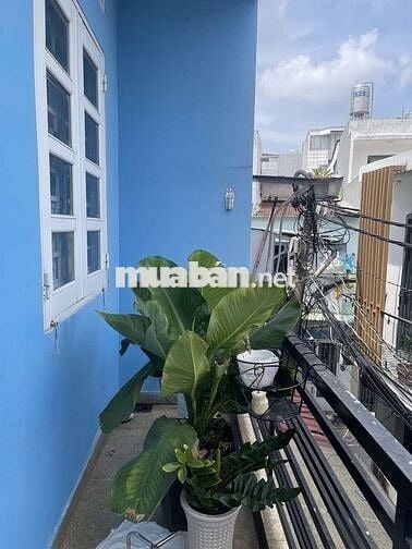 ​💥 Nhà 3 tầng, Đất lớn 101m², Tân Bình - Ngang 6m cực hiếm 💥