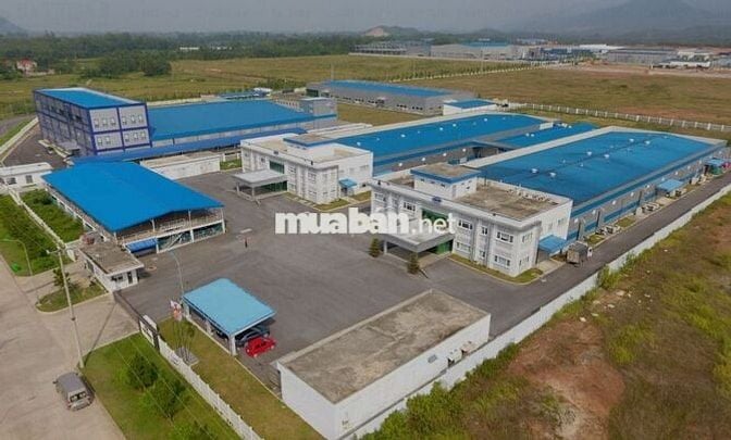 🏭 BÁN LÔ ĐẤT 2.1HA – DỰ ÁN KHU CÔNG NGHIỆP BÁ THIỆN