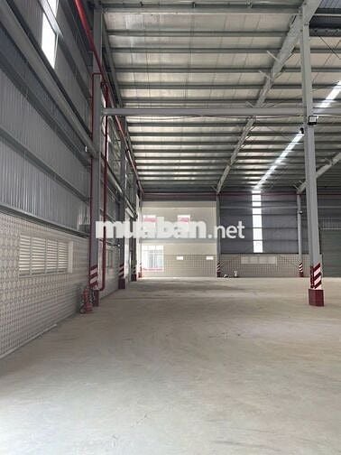 CHO THUÊ KHO NGAY CẢNG QUỐC TẾ LONG AN ,HUYÊN CẦN GIUỘC