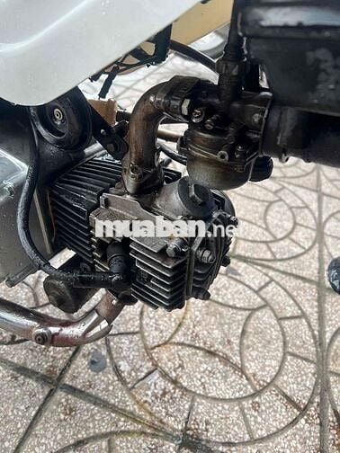 bán cúp 81 -50cc có đề bs 83